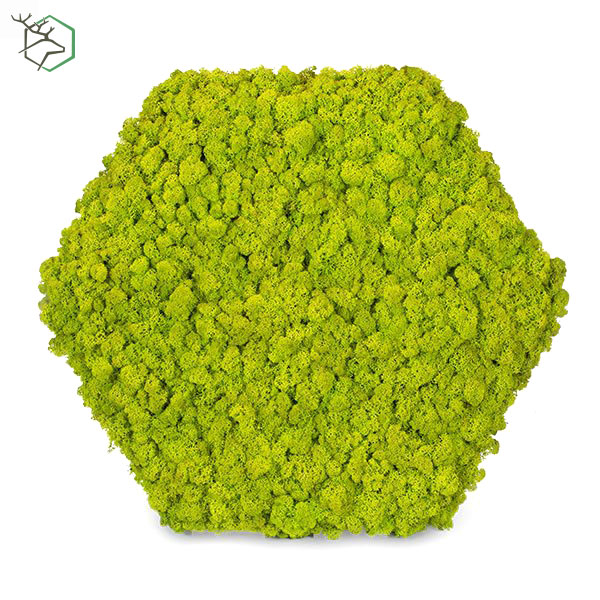 3d-zuzmocsempe-wallgo-001 3d-zuzmocsempe-wallgo-001