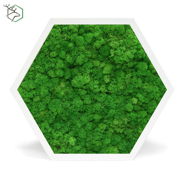 hexagon-zuzmokepek-feher-kerettel-wallgo-001 hexagon-zuzmokepek-feher-kerettel-wallgo-001