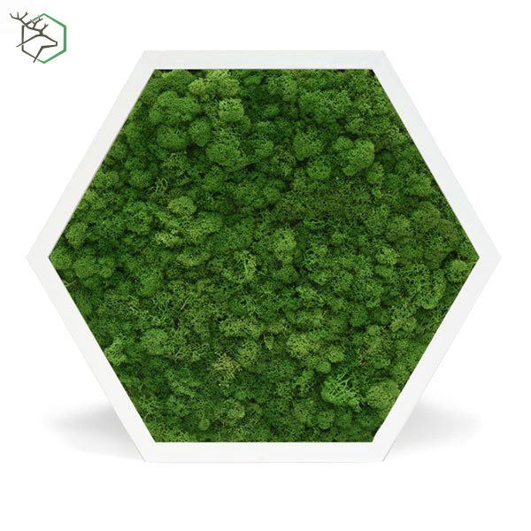 hexagon-zuzmokepek-feher-kerettel-wallgo-002 hexagon-zuzmokepek-feher-kerettel-wallgo-002