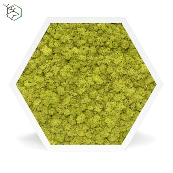 hexagon-zuzmokepek-feher-kerettel-wallgo-003 hexagon-zuzmokepek-feher-kerettel-wallgo-003
