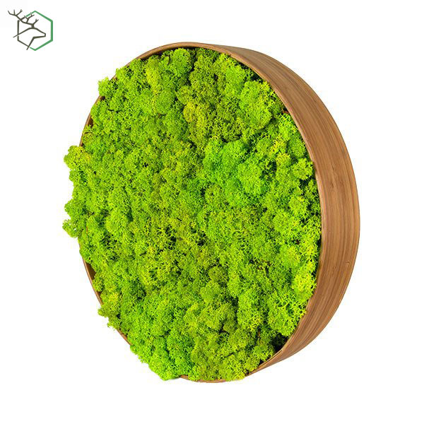 korkeretes-zuzmokepek-bambuszkerettel-wallgo-002 korkeretes-zuzmokepek-bambuszkerettel-wallgo-002