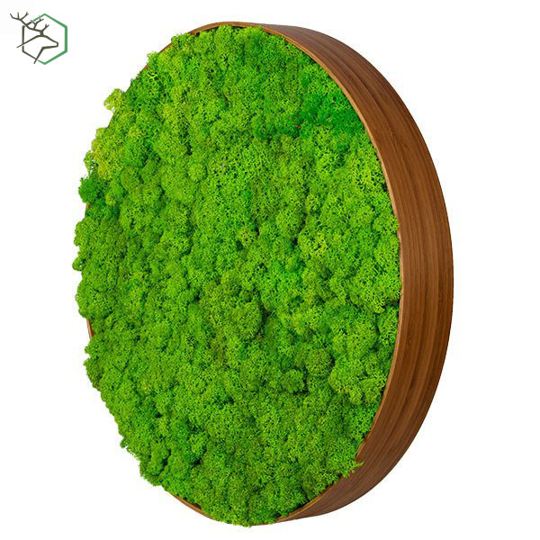 korkeretes-zuzmokepek-bambuszkerettel-wallgo-003 korkeretes-zuzmokepek-bambuszkerettel-wallgo-003