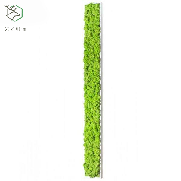 zuzmokepek-wallgo-20x170cm zuzmokepek-wallgo-20x170cm