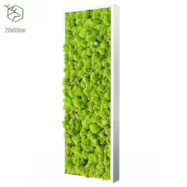 zuzmokepek-wallgo-20x60-1 zuzmokepek-wallgo-20x60-1
