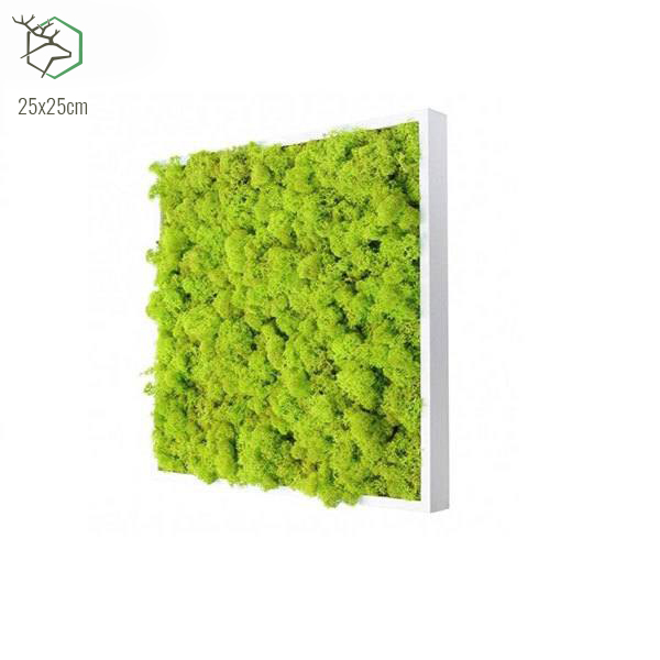 zuzmokepek-wallgo-25x25cm zuzmokepek-wallgo-25x25cm