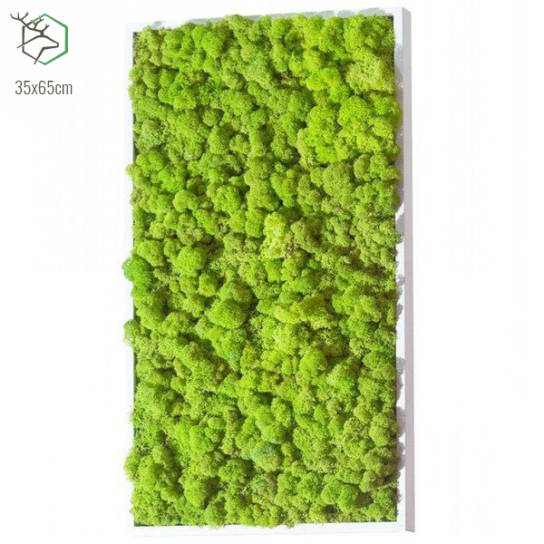 zuzmokepek-wallgo-35x65cm zuzmokepek-wallgo-35x65cm