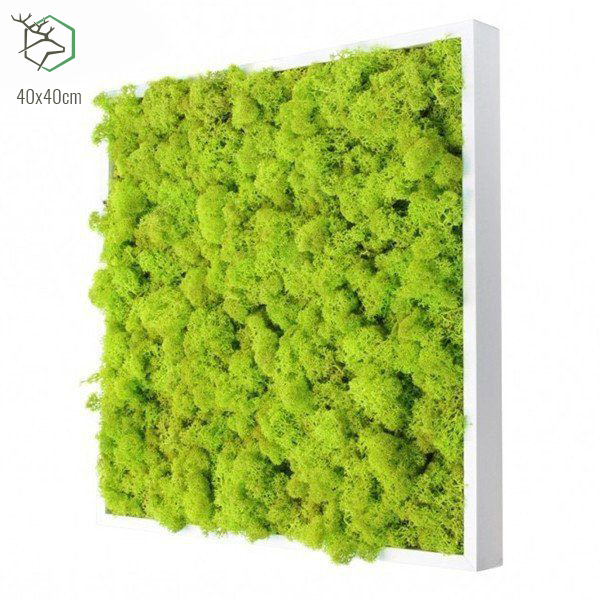 zuzmokepek-wallgo-40x40cm zuzmokepek-wallgo-40x40cm