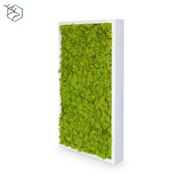 zuzmokepek-wallgo-600x600-1 zuzmokepek-wallgo-600x600-1