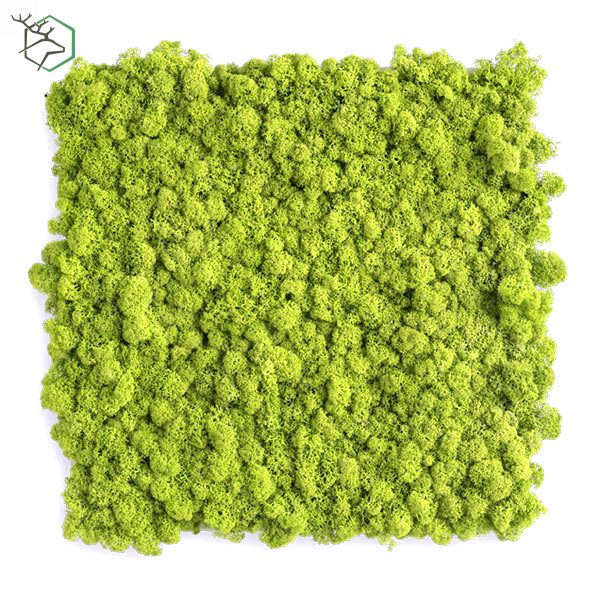 zuzmopanelek-wallgo-001 zuzmopanelek-wallgo-001