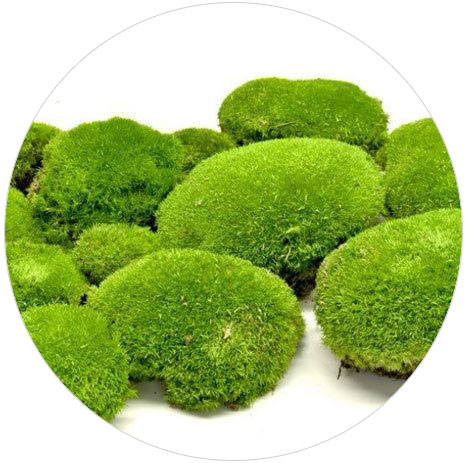 BALL-MOSS-LIGHT_GREEN