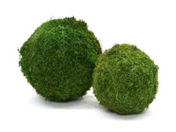 wallgo-alapanyagok-001-1-2