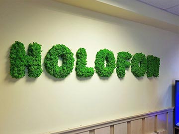 wallgo-alapanyagok-0011-1