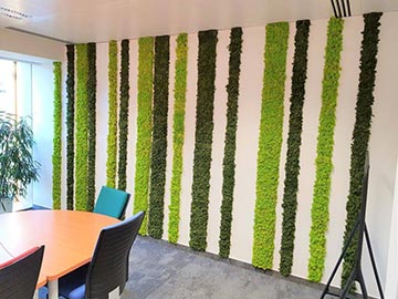 wallgo-alapanyagok-0012-1