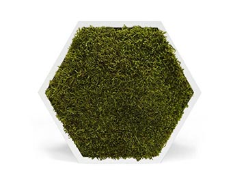 wallgo-alapanyagok-0014-1