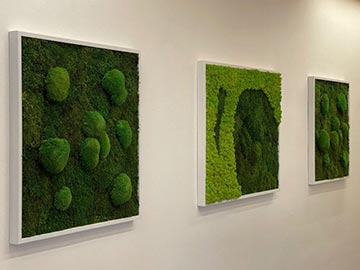 wallgo-alapanyagok-003-1