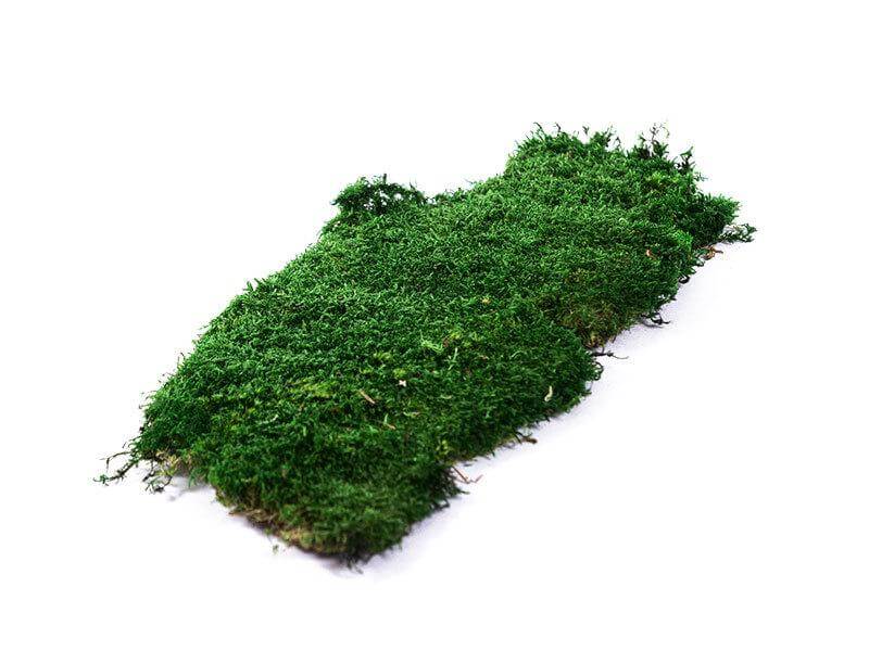 wallgo-alapanyagok-006-1