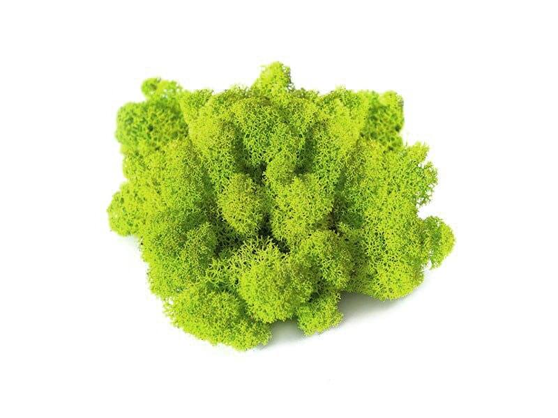 wallgo-alapanyagok-008-1