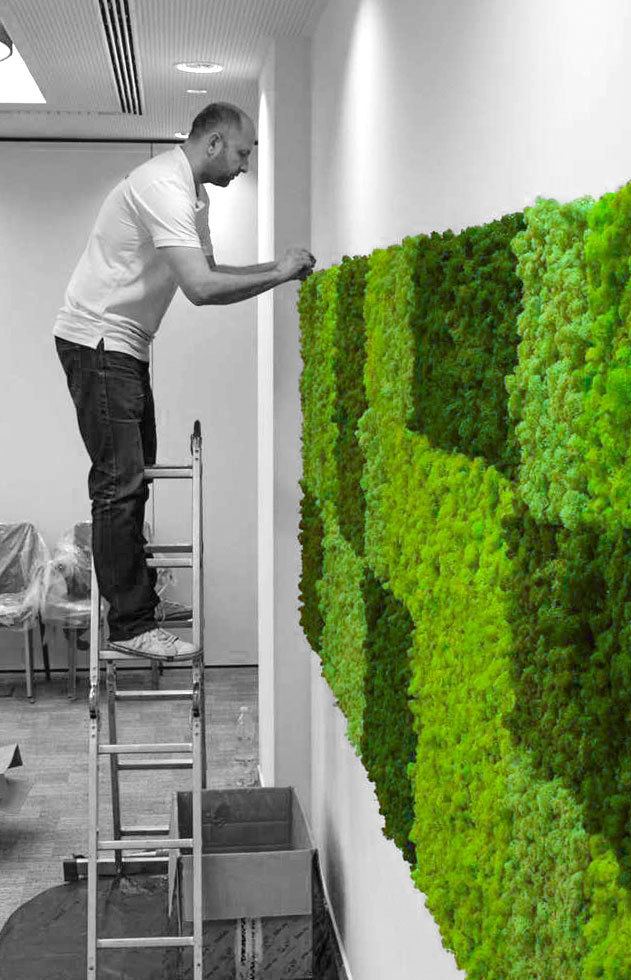 wallgo-karbantartas-2