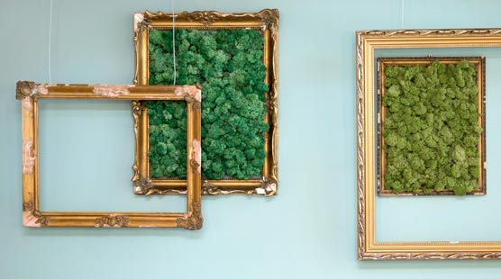 wallgo-partnereknek-image-006