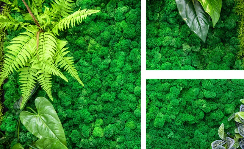 wallgo-partnereknek-image-007-2