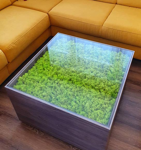 wallgo-partnereknek-image-009-2