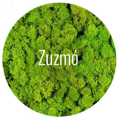 zuzmo-minta-wallgo-001
